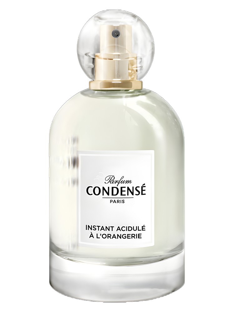 Instant Acidulé à l’Orangerie – Condensé Paris