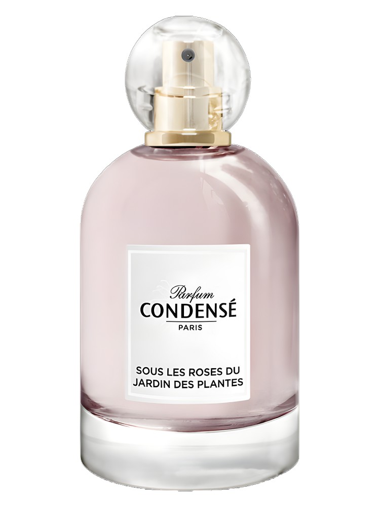 Sous les Roses du Jardin des Plantes – Condensé Paris