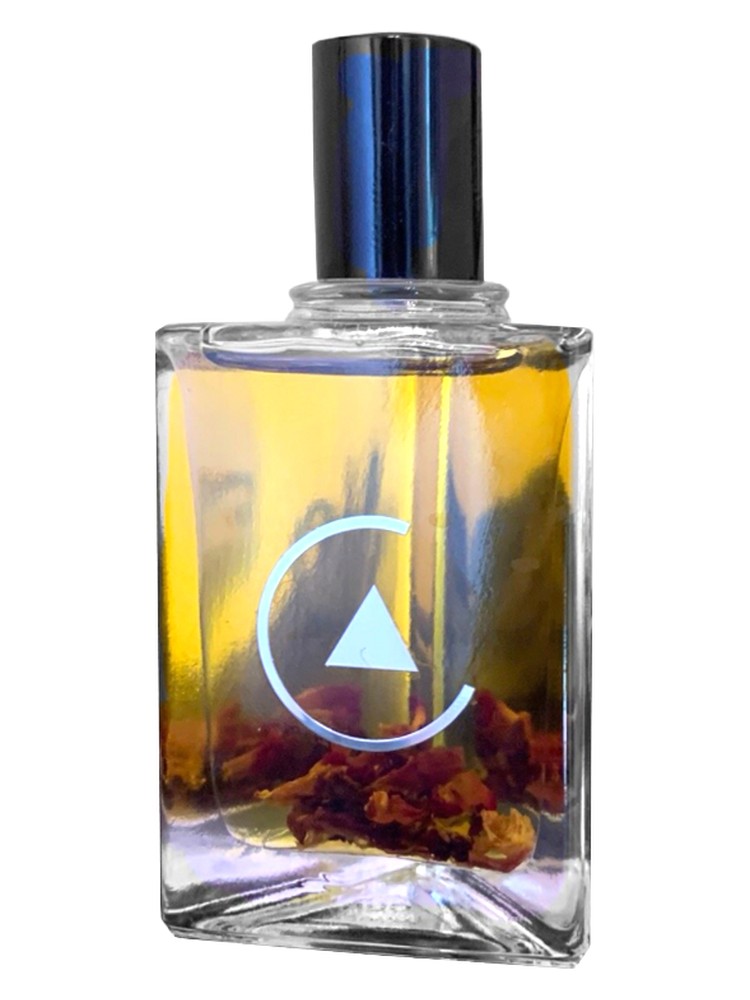 Rose + Patchouli Oil – La Curie