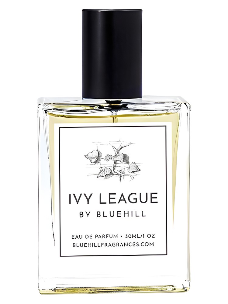Ivy League – Bluehill