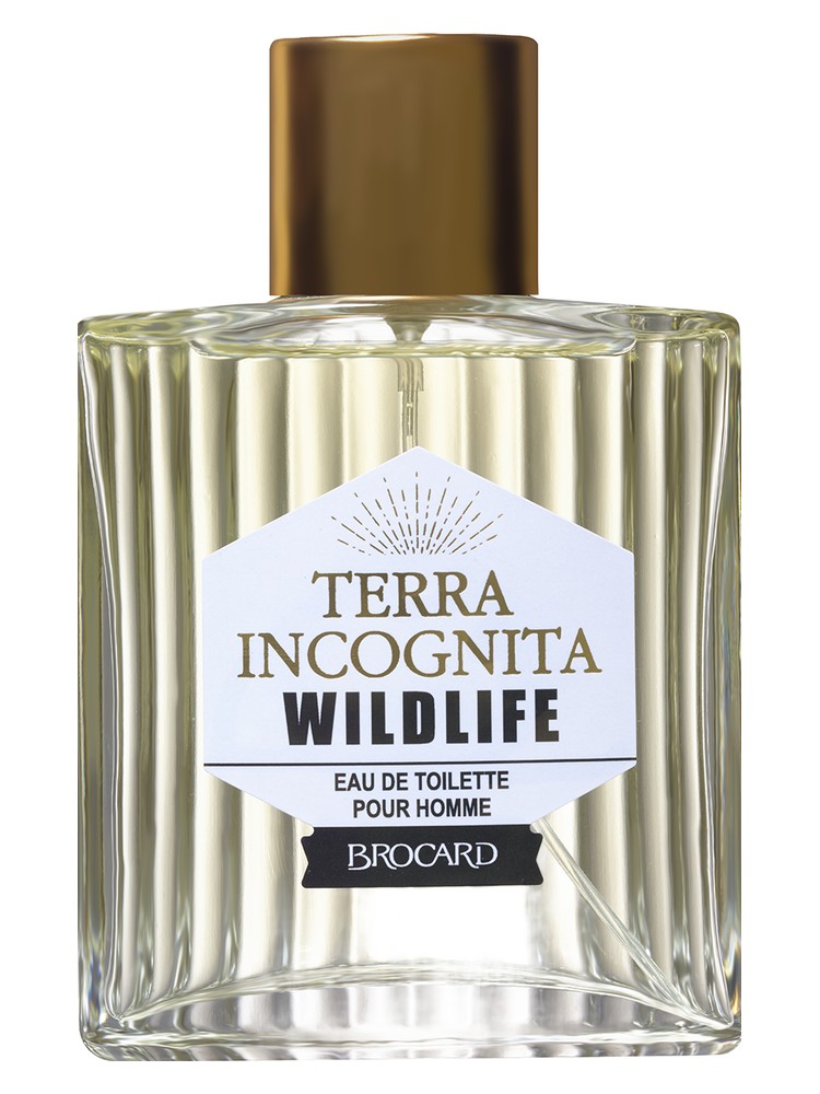Terra Incognita Wild Life – Brocard