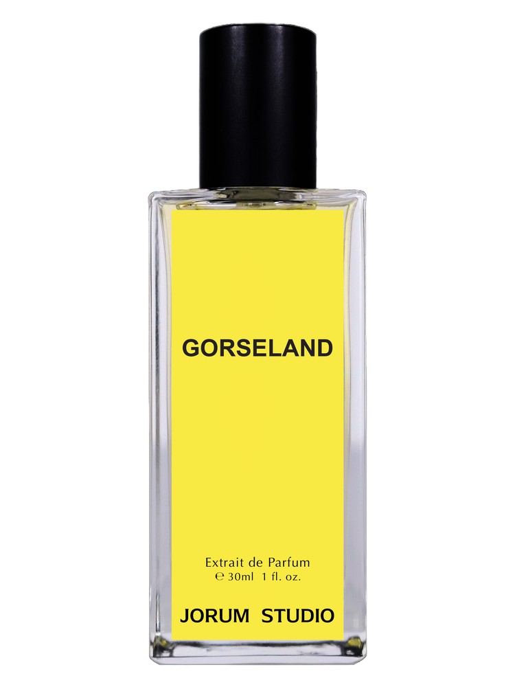 Gorseland – Jorum Studio