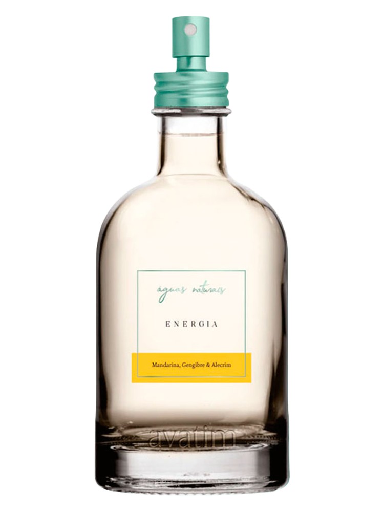 Águas Naturais Energia – Avatim