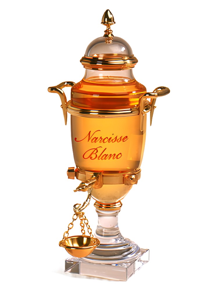 Narcisse Blanc – Caron