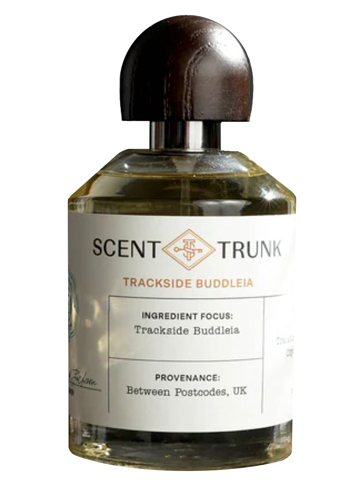 Trackside Buddleia – Scent Trunk
