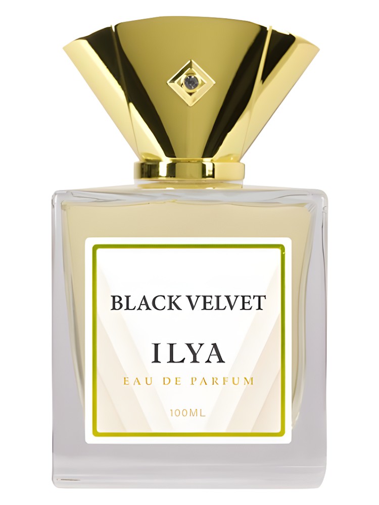 Black Velvet – Ilya Parfums