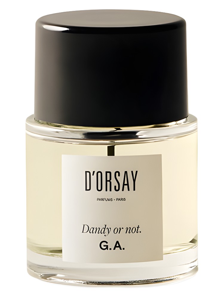 Dandy or not. G.A. – D’ORSAY