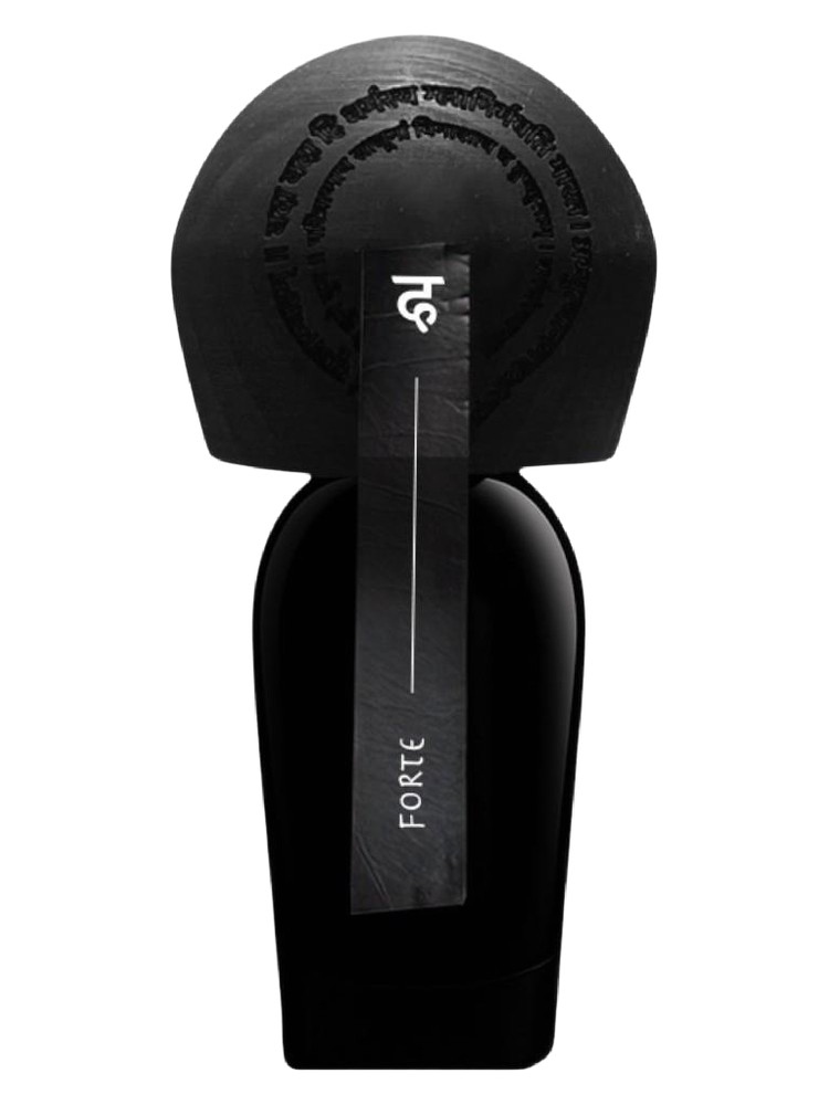 Forte – Rajani