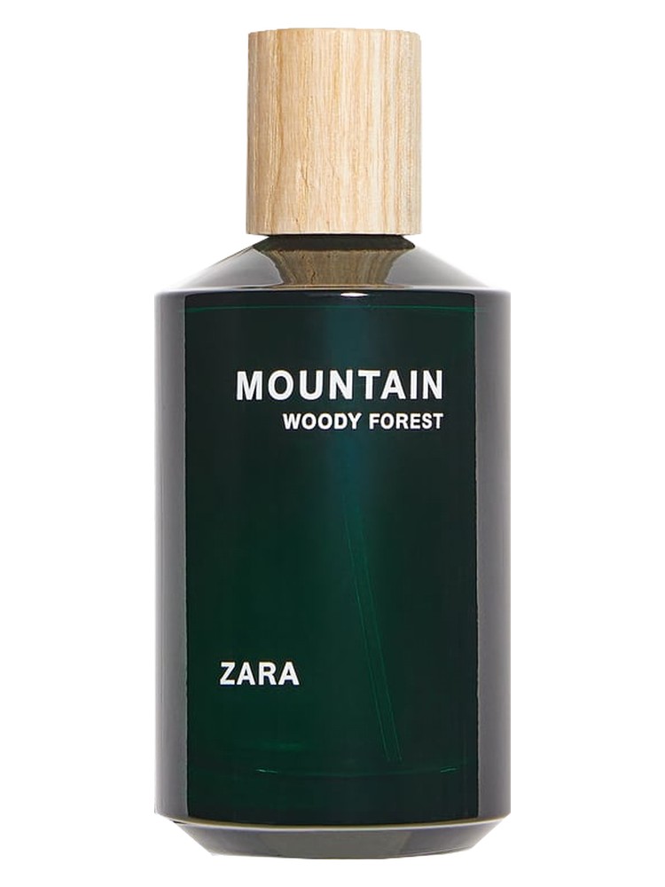 Mountain Woody Forest – Zara