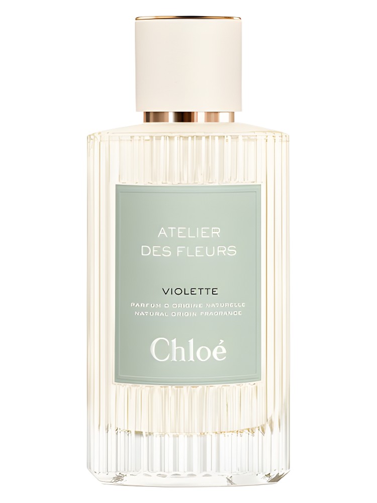 Violette – Chloé