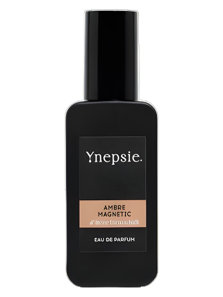 Ambre Magnetic – Ynepsie