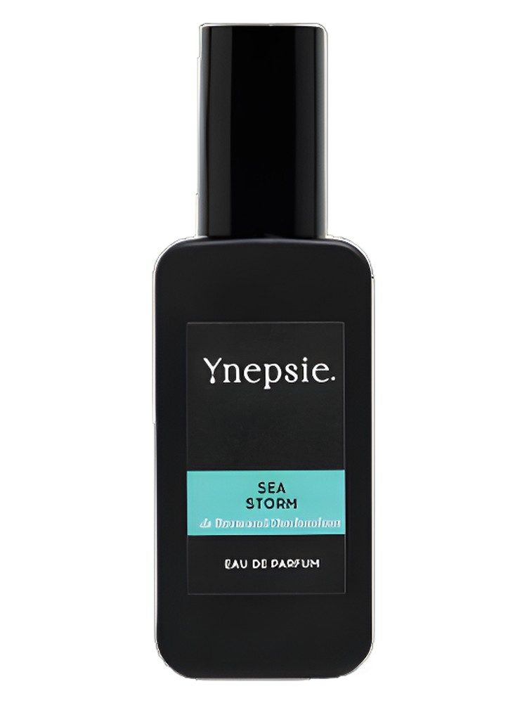 Sea Storm – Ynepsie