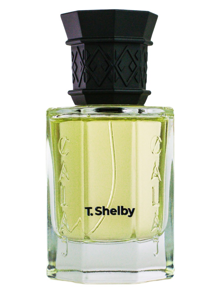 T. Shelby – Calaj