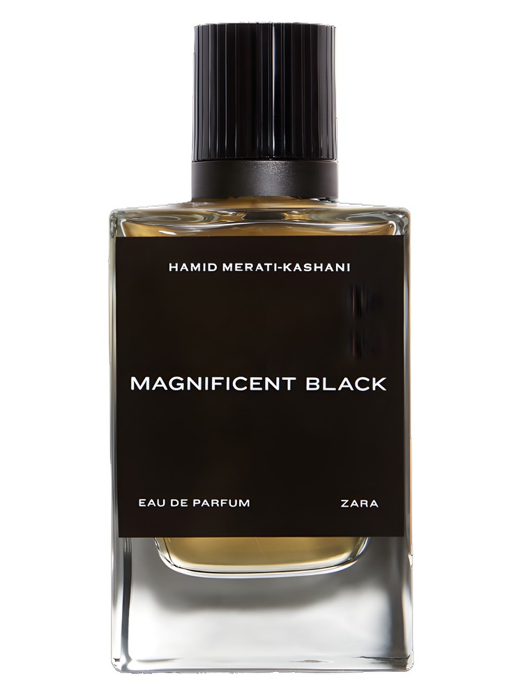 Magnificent Black – Zara