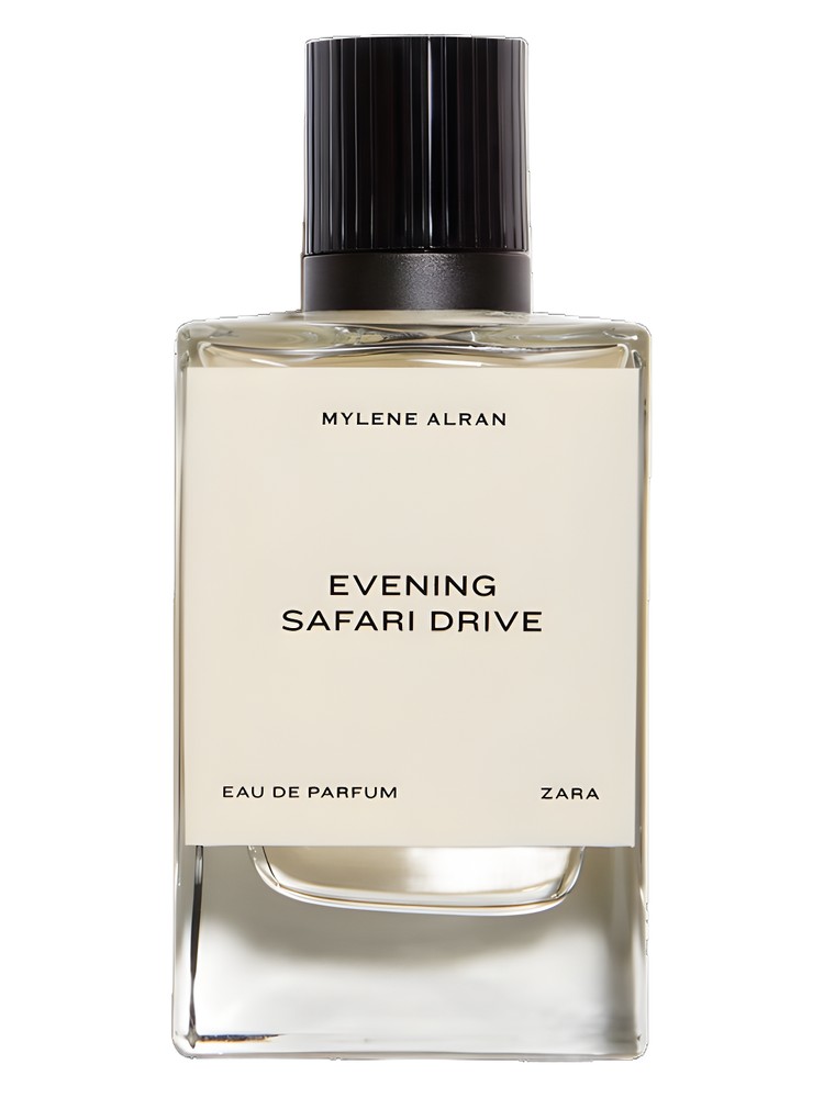 Evening Safari Drive – Zara