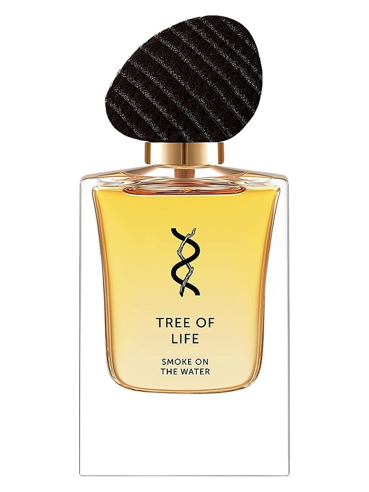 Smoke on the Water – Tree Of Life