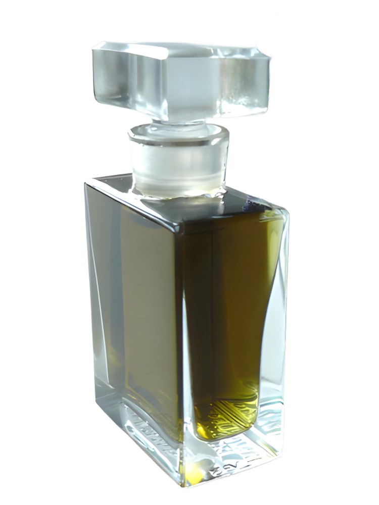 Vera – Roxana Illuminated Perfume