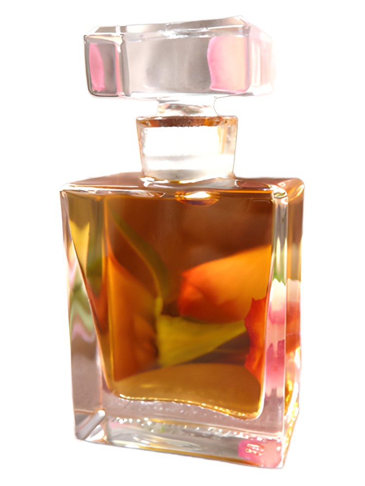 Rosa – Roxana Illuminated Perfume