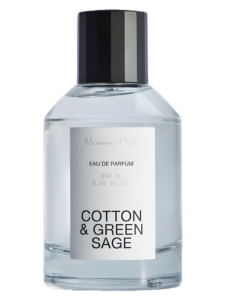 Cotton & Green Sage – Massimo Dutti