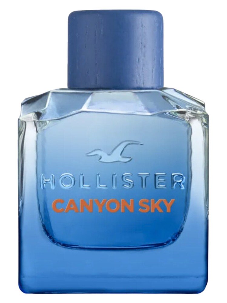 Canyon Sky For Him – Hollister