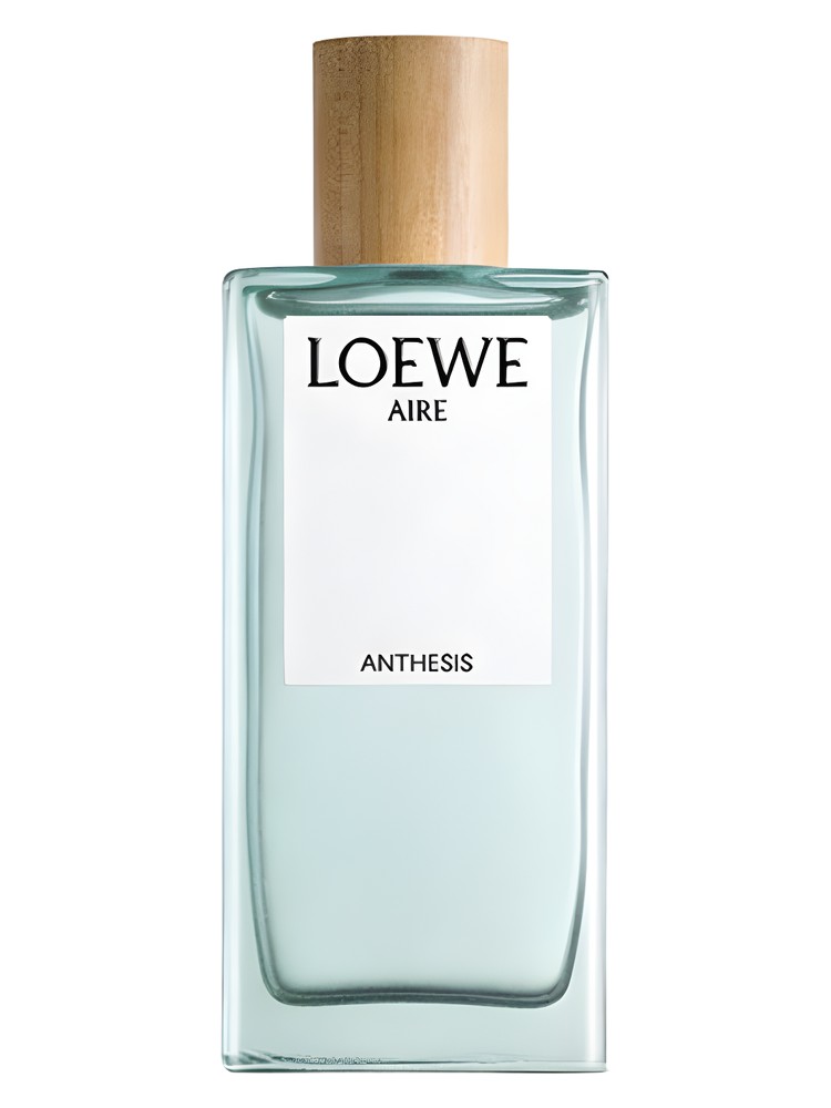 Aire Anthesis – Loewe
