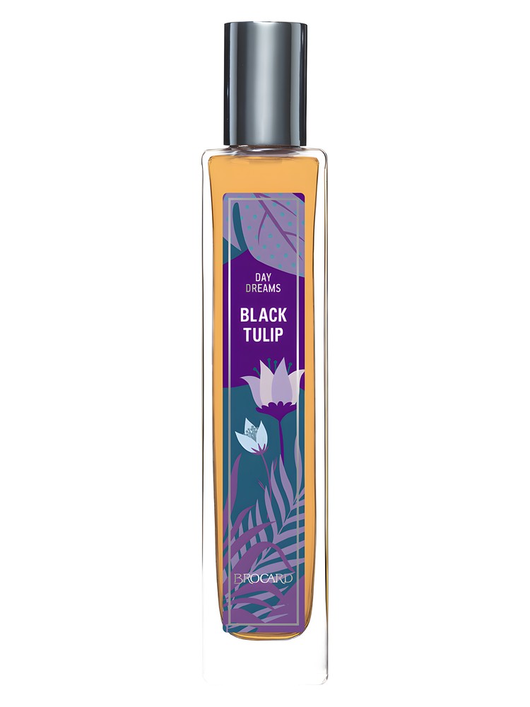 Black Tulip – Brocard