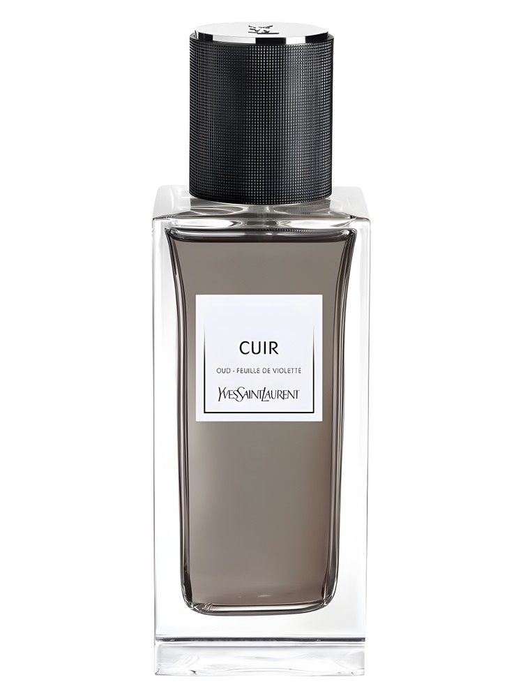 Cuir (2023) – Yves Saint Laurent