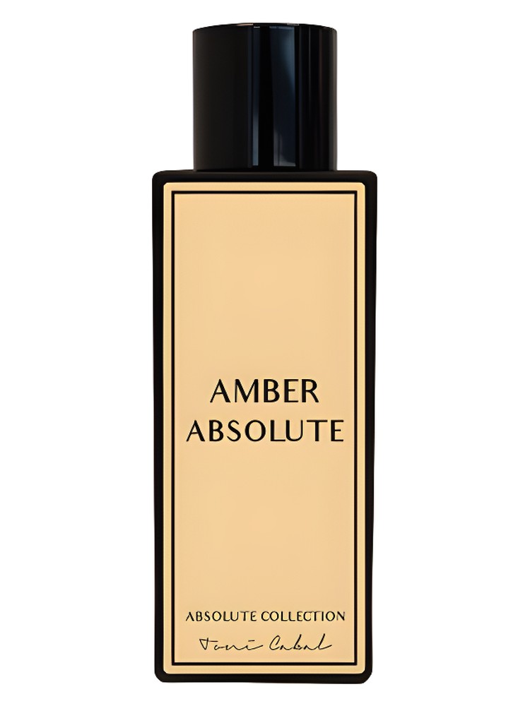 Amber Absolute – Toni Cabal