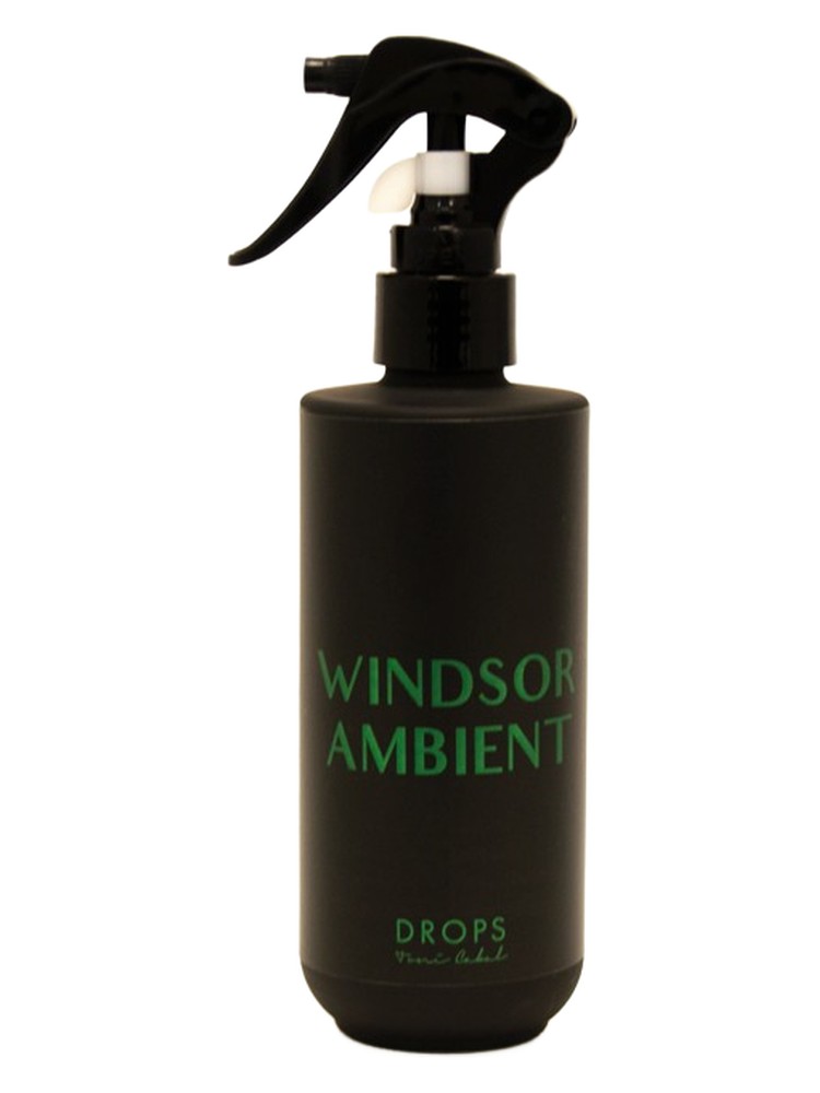 WINDSOR AMBIENT – Toni Cabal