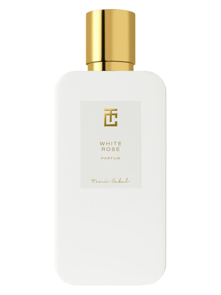 White Rose – Toni Cabal