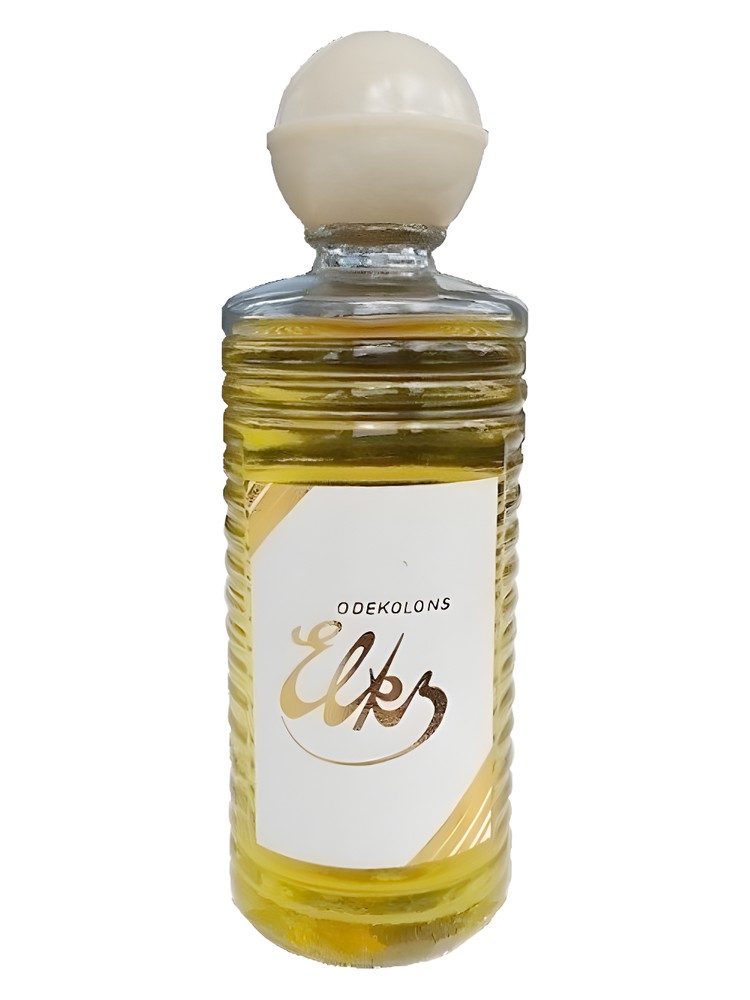 Elks (Кумир) – Dzintars