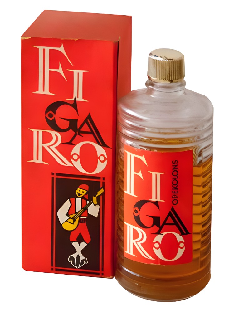 Figaro – Dzintars