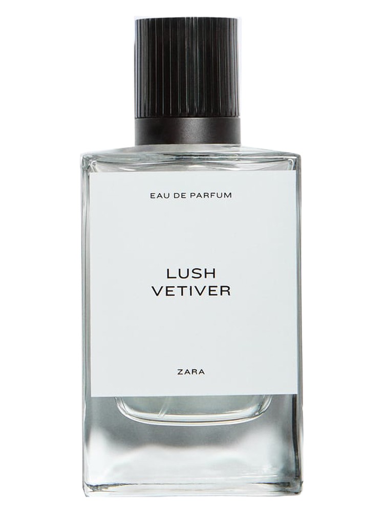 Lush Vetiver – Zara
