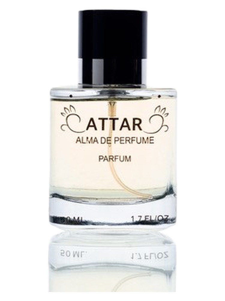 Sur – ATTAR. Alma de Perfume