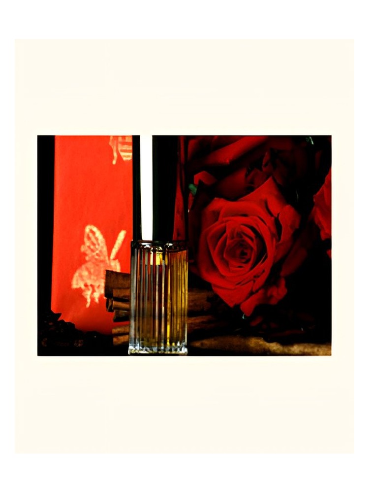 Poivre – DSH Perfumes