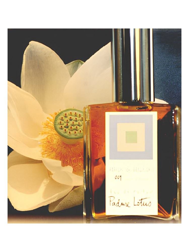 Padme Lotus – DSH Perfumes