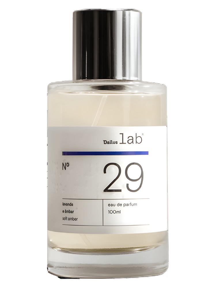 Nº 29 – Dailus Lab