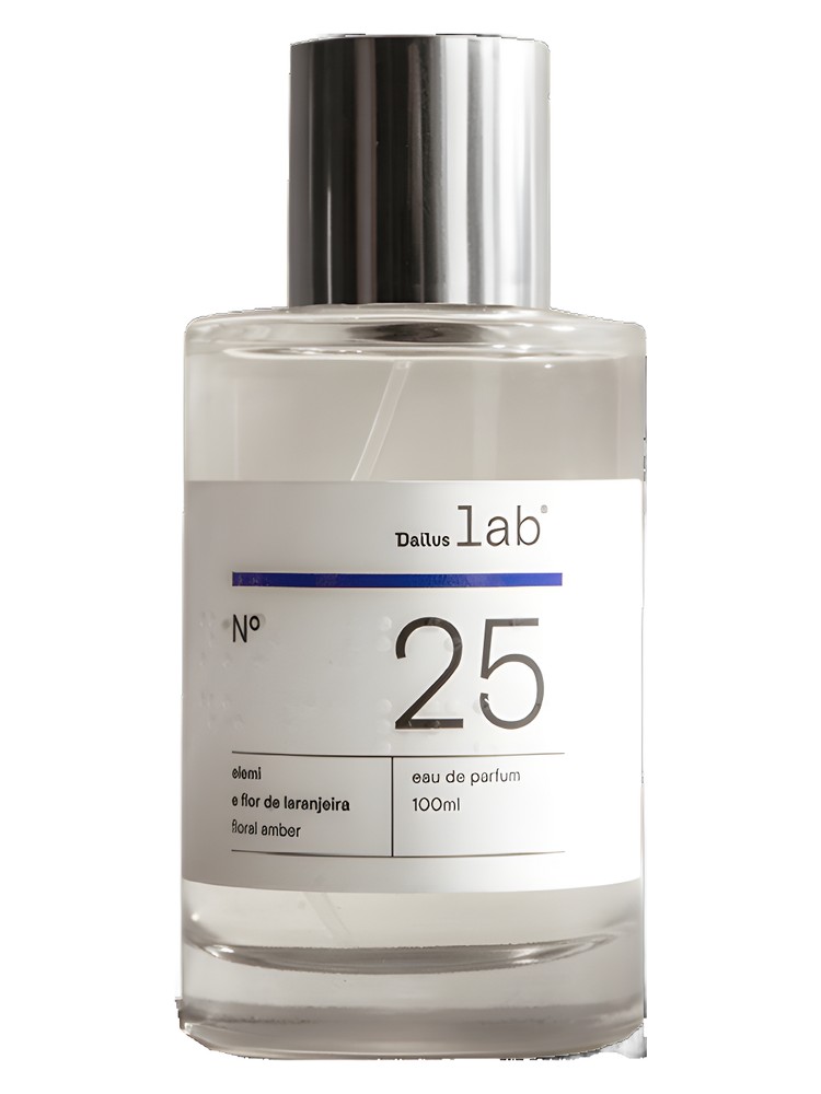 Nº 25 – Dailus Lab