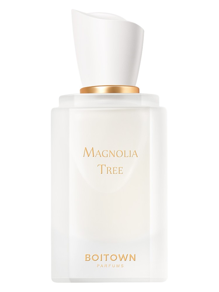 Magnolia Tree 一树玉兰 – Boitown 冰希黎