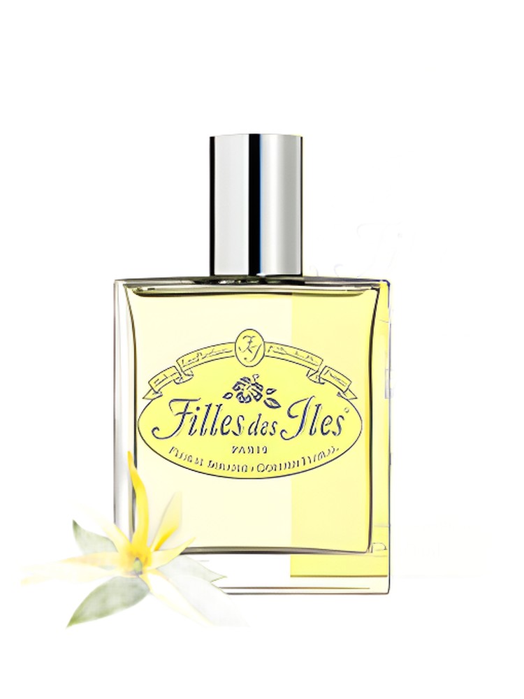 Floral Solaire – Filles des Iles