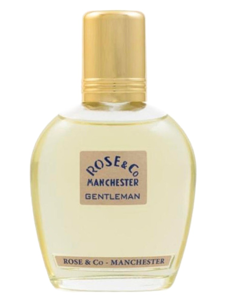 Gentleman – Rose & Co Manchester