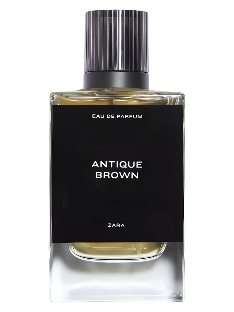 Antique Brown – Zara