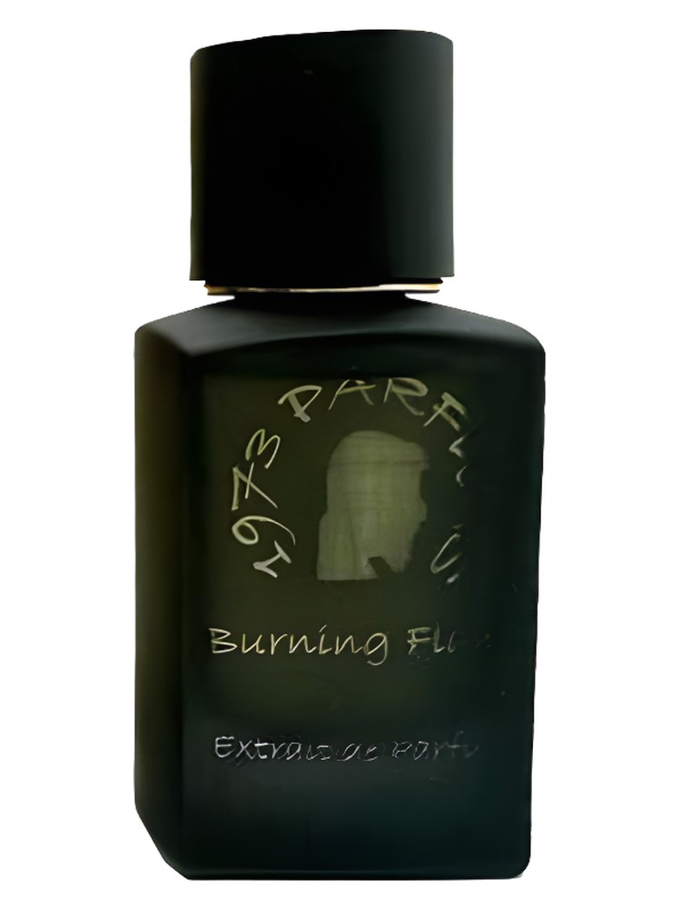 Burning Flame – 1973