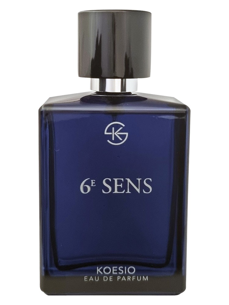 6E SENS – Koesio