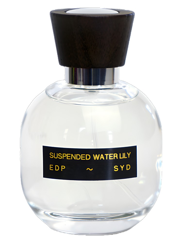 Suspended Water Lily – SYD Botanica