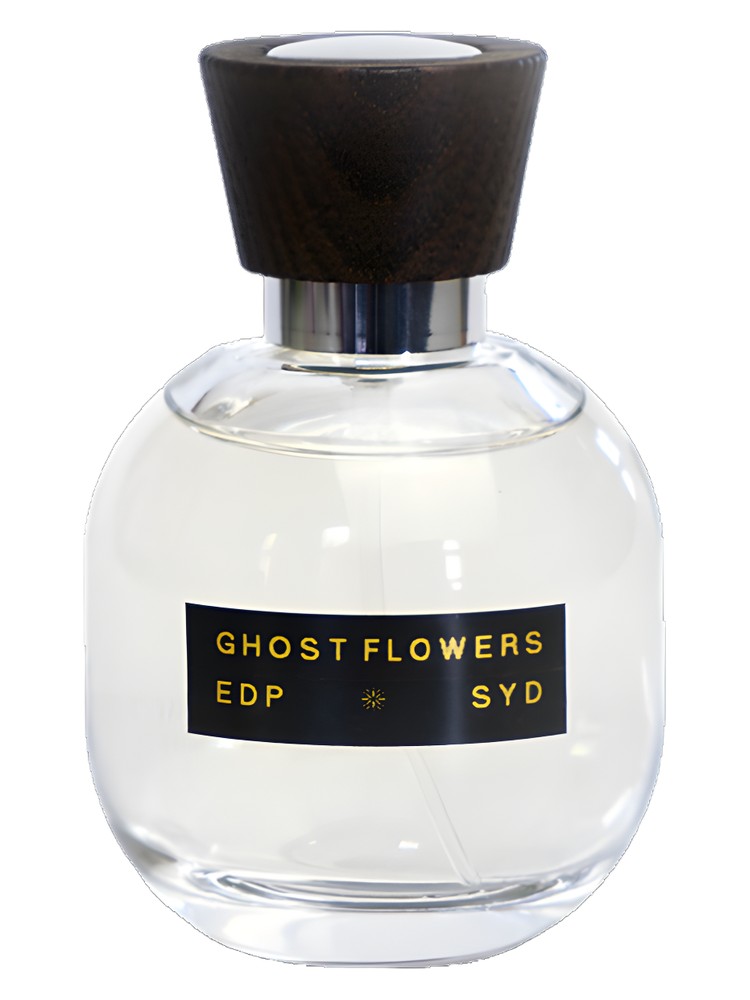 Ghost Flowers – SYD Botanica