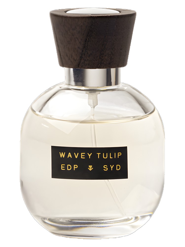 Wavey Tulip – SYD Botanica