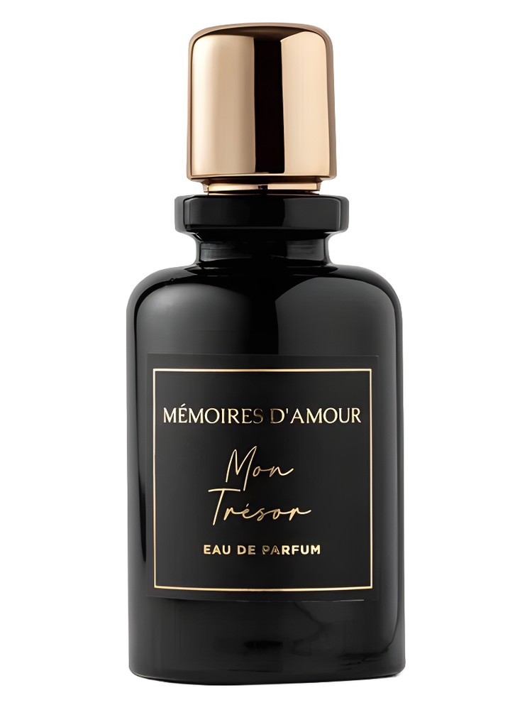 Mon Tresor – Mémoires D'amour