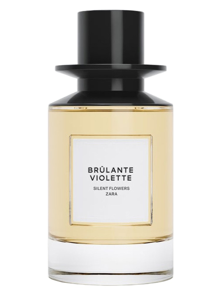 Brulante Violette – Zara