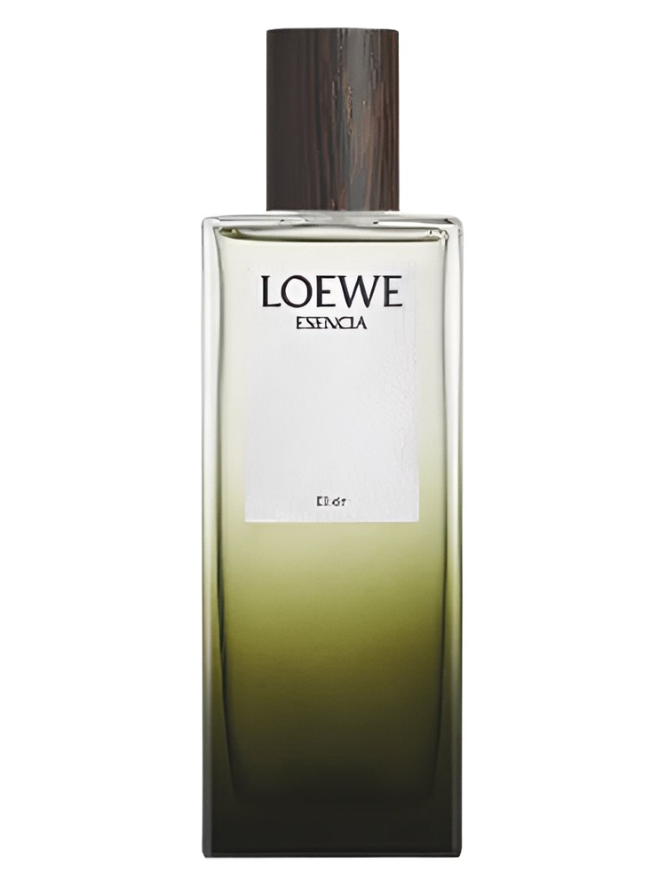 Esencia Elixir – Loewe